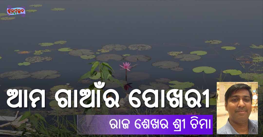 Read more about the article ଆମ ଗାଆଁର ପୋଖରୀ