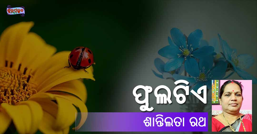 You are currently viewing ଫୁଲଟିଏ