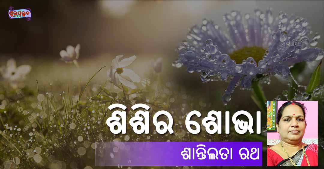 Read more about the article ଶିଶିର ଶୋଭା