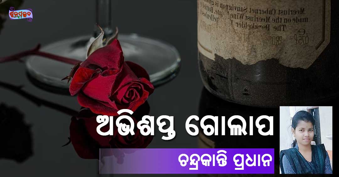 Read more about the article ଅଭିଶପ୍ତ ଗୋଲାପ