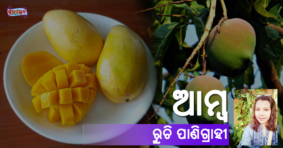 Read more about the article ଆମ୍ବ