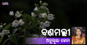 Read more about the article ବଣମଲ୍ଲୀ