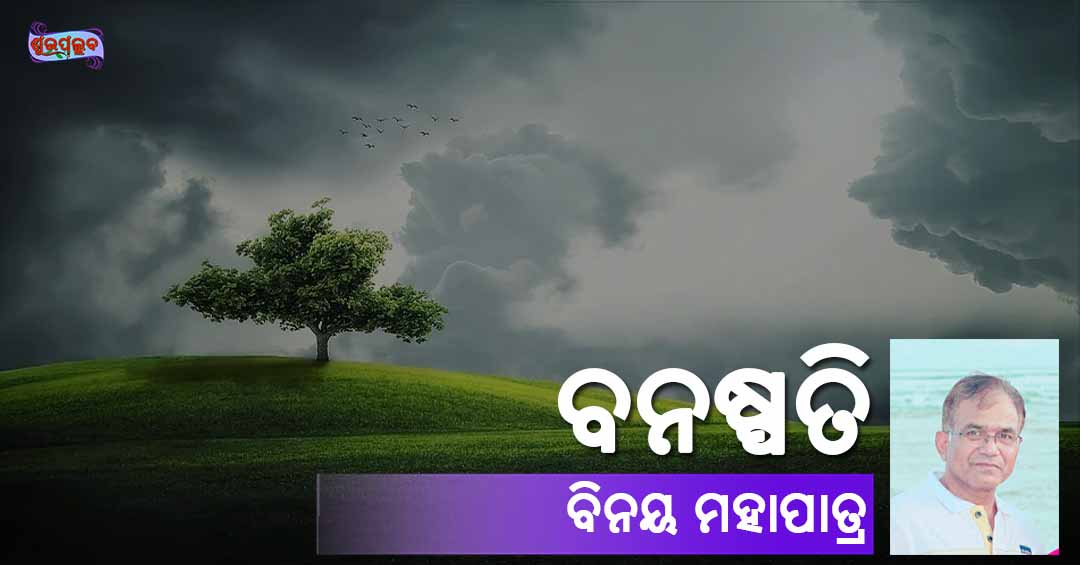 Read more about the article ବନଷ୍ପତି