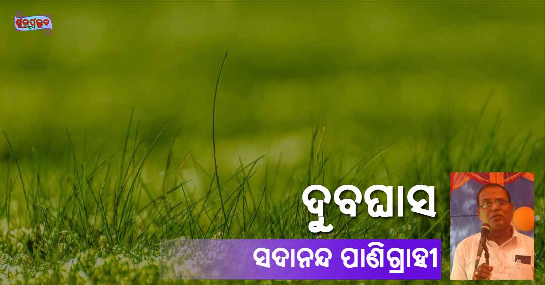 Read more about the article ଦୁବଘାସ