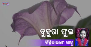 Read more about the article ଦୁଦୁରା ଫୁଲ