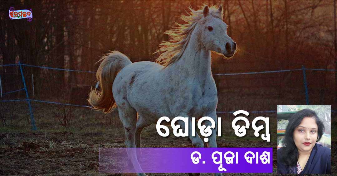 Read more about the article ଘୋଡ଼ା ଡିମ୍ବ