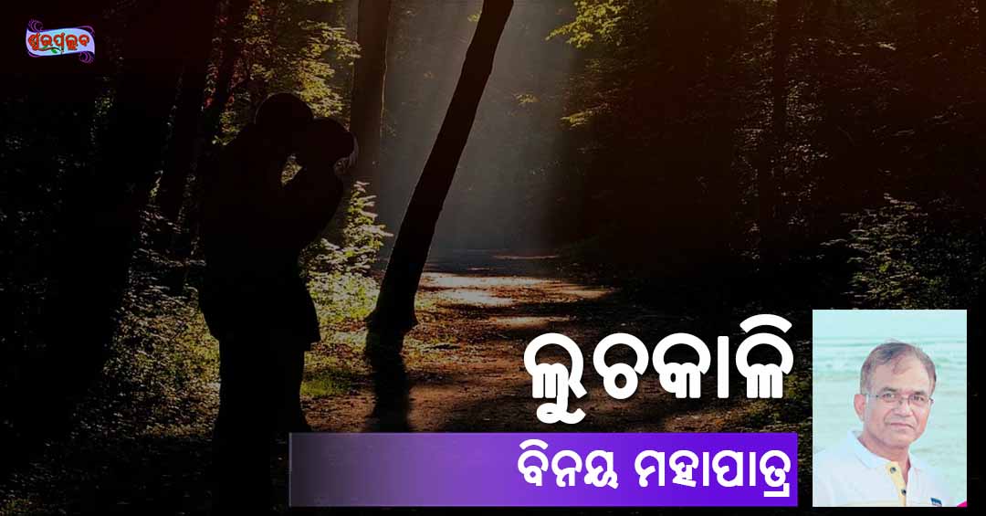 You are currently viewing ଲୁଚକାଳି