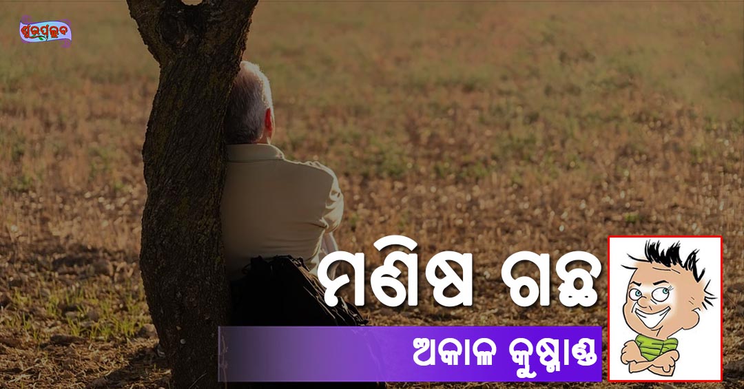 Read more about the article ମଣିଷ ଗଛ