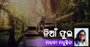 Read more about the article ନିଆଁ ଫୁଲ