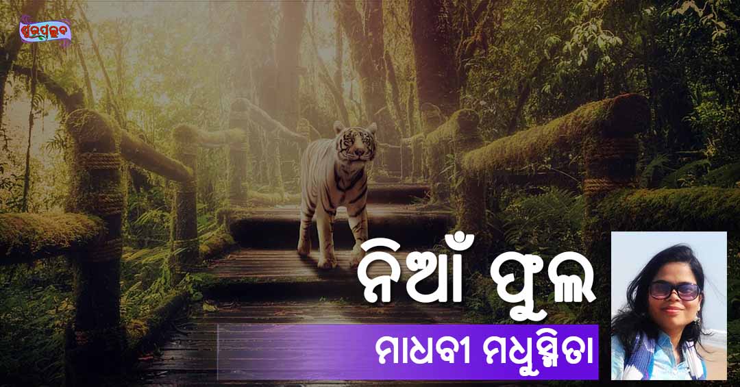 You are currently viewing ନିଆଁ ଫୁଲ