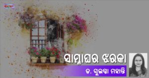 Read more about the article ସାମ୍ନା ଘର ଝରକା