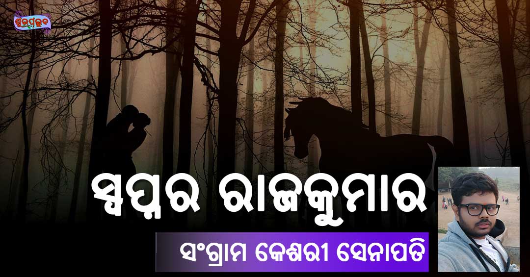 Read more about the article ସ୍ୱପ୍ନର ରାଜକୁମାର