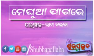 Read more about the article ମେଘୁଆ ପାଗରେ
