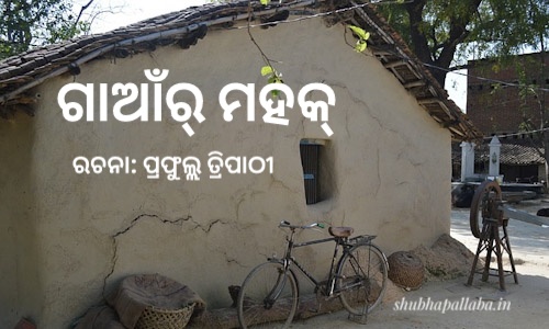 Read more about the article ଗାଆଁର୍‌ ମହକ୍‌