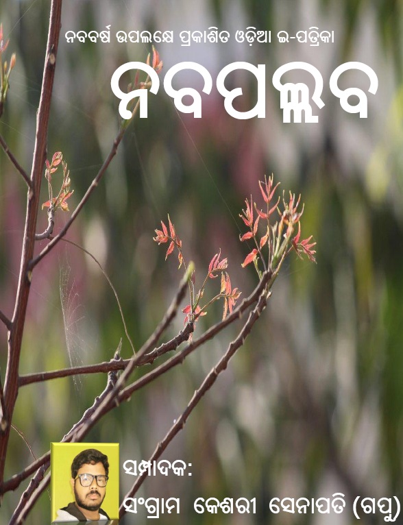 1st Edition of Shubhapallaba Online Odia Magazine