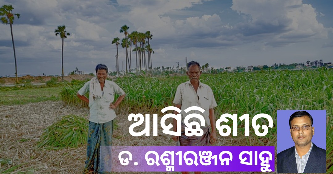 Read more about the article ଆସିଛି ଶୀତ