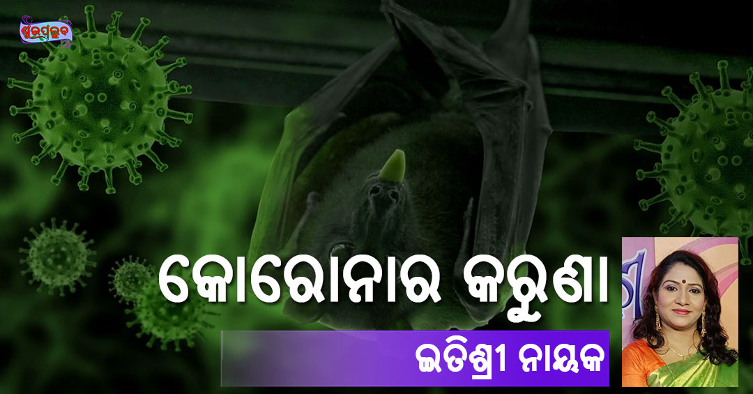 Read more about the article କରୋନାର କରୁଣା
