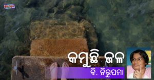 Read more about the article କମୁଛି ଜଳ