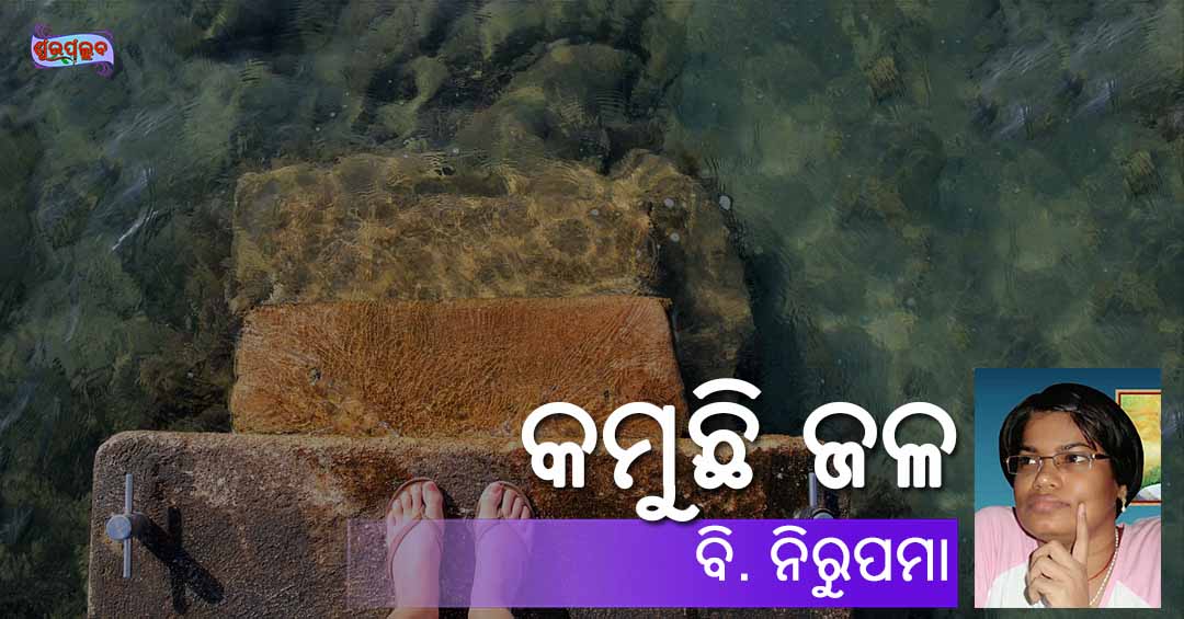 Read more about the article କମୁଛି ଜଳ