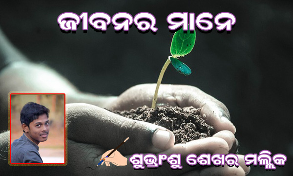 Read more about the article ଜୀବନର ମାନେ