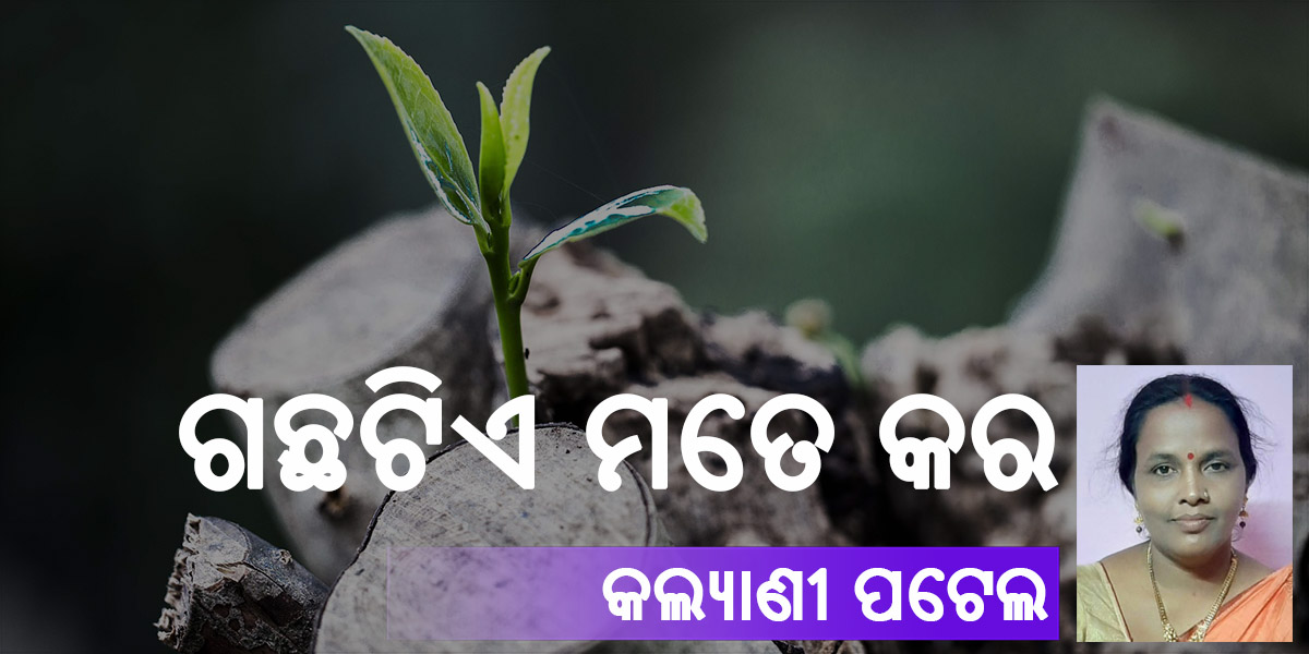 Read more about the article ଗଛଟିଏ ମତେ କର