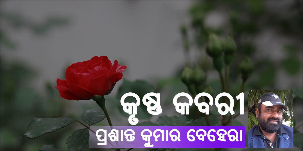 Read more about the article କୃଷ୍ଣ କବରୀ