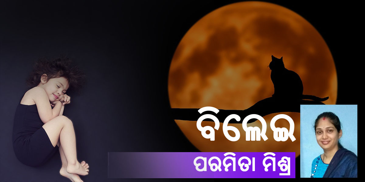 Read more about the article ବିଲେଇ