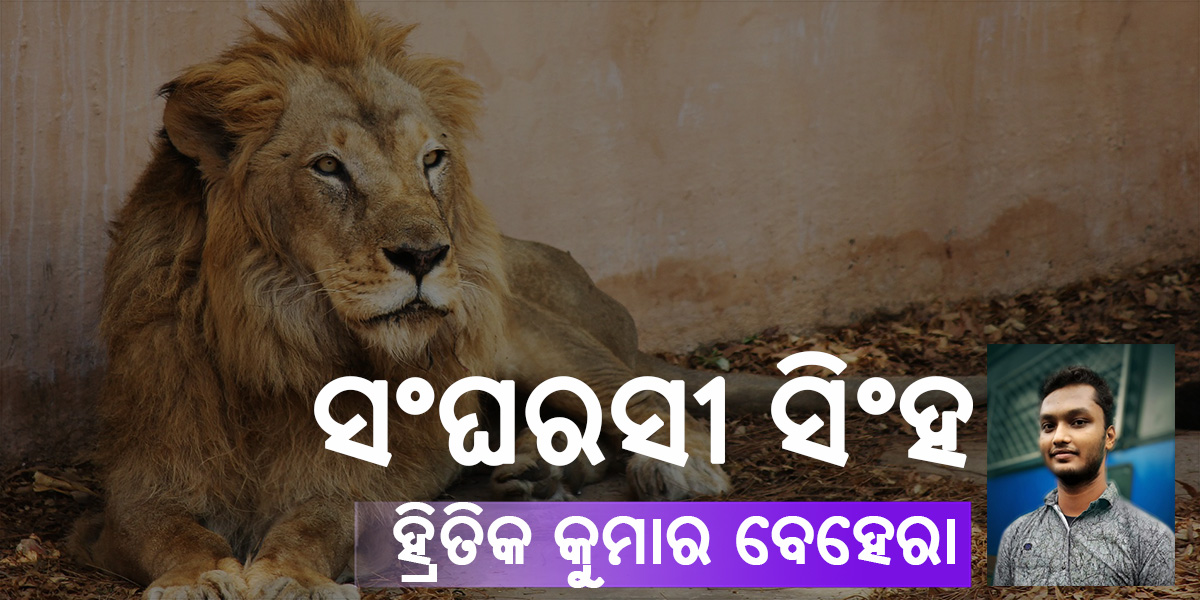 Read more about the article ସଂଘରସୀ ସିଂହ