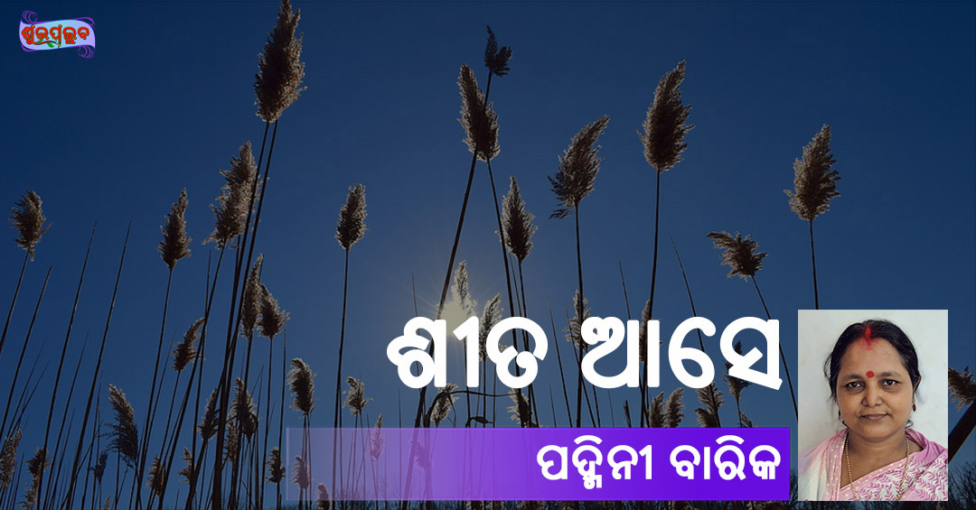 Read more about the article ଶୀତ ଆସେ
