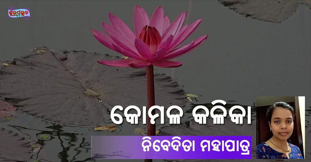 You are currently viewing କୋମଳ କଳିକା