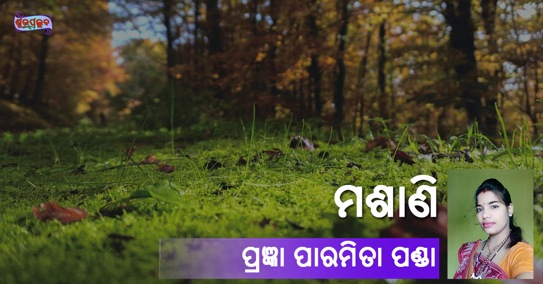 Read more about the article ମଶାଣି