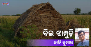 Read more about the article ବିଲ ଝାମ୍ପୁଡ଼ି