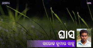 Read more about the article ଘାସ
