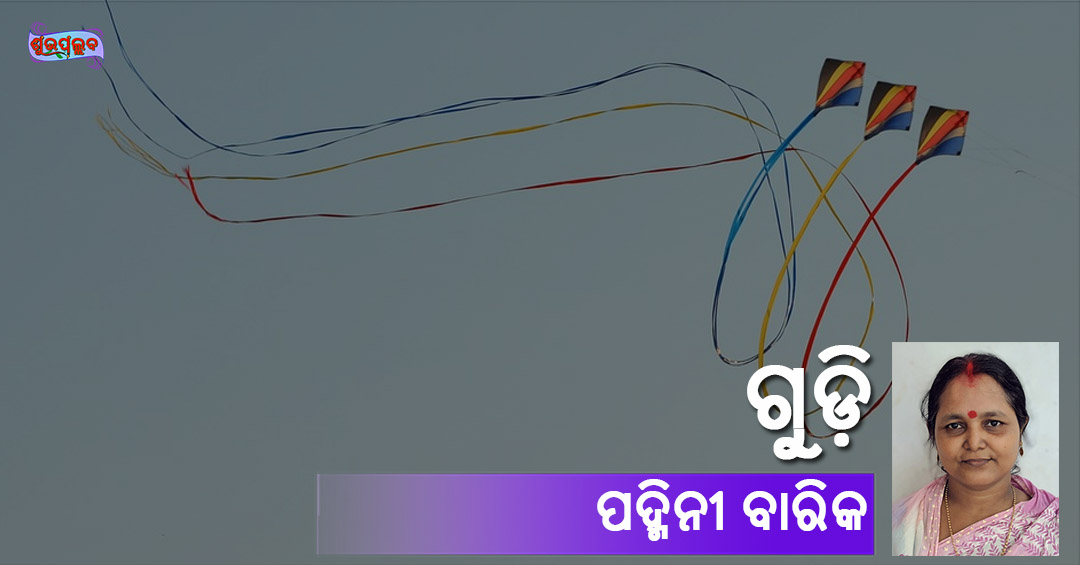 Read more about the article ଗୁଡ଼ି