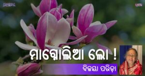 Read more about the article ମାଗ୍ନୋଲିଆ ଲୋ !