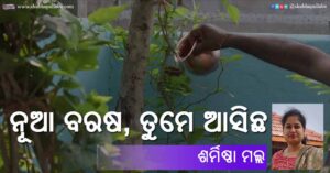 Read more about the article ନୂଆ ବରଷ, ତୁମେ ଆସିଛ