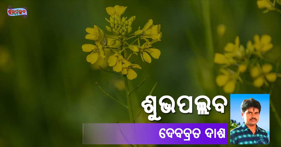 You are currently viewing ଶୁଭପଲ୍ଲବ