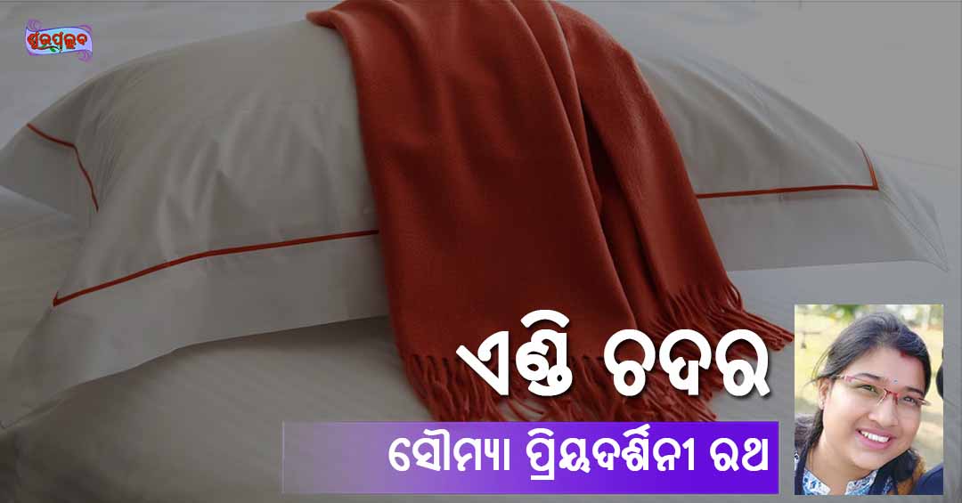 You are currently viewing ଏଣ୍ଡି ଚଦର