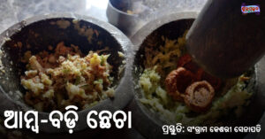 Read more about the article ଆମ୍ବ ବଡ଼ି ଛେଚା