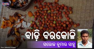 Read more about the article ବାଡ଼ି ବରକୋଳି