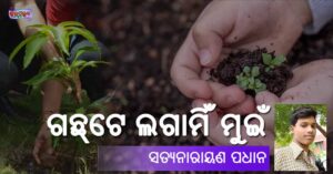 Read more about the article ଗଛ୍‌ଟେ ଲଗାମିଁ ମୁଇଁ