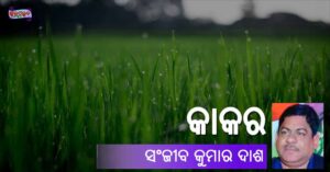 Read more about the article କାକର