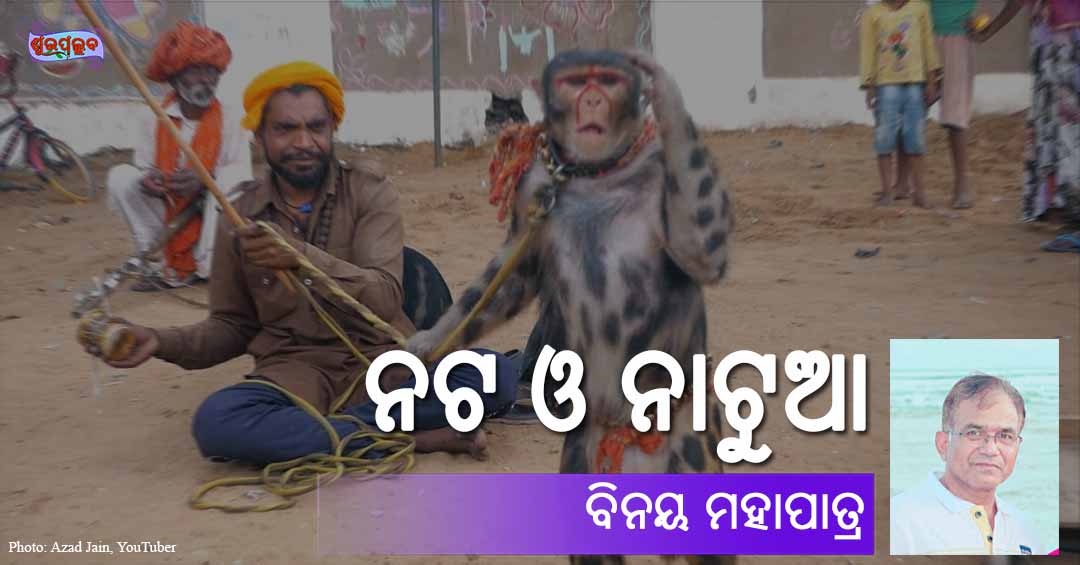 Read more about the article ନଟ ଓ ନାଟୁଆ