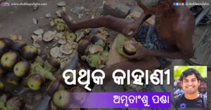 Read more about the article ପଥିକ କାହାଣୀ
