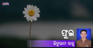 Read more about the article ଫୁଲ