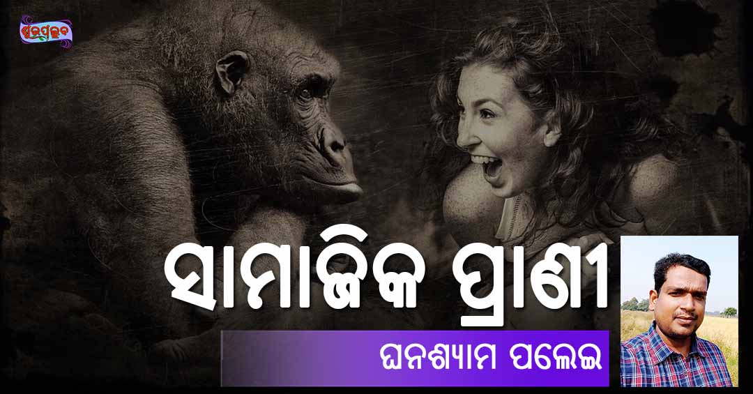 You are currently viewing ସାମାଜିକ ପ୍ରାଣୀ