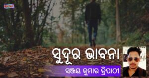 Read more about the article ସୁଦୂର ଭାବନା