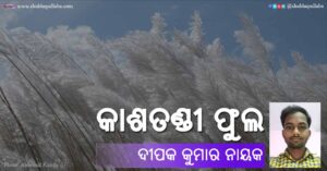 Read more about the article କାଶତଣ୍ଡୀ ଫୁଲ