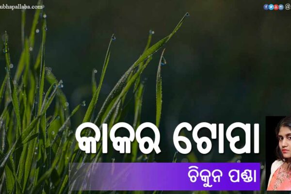 କାକର ଟୋପା Odia Poem Kakara Topa (କାକର ଟୋପା) by Chikun Panda