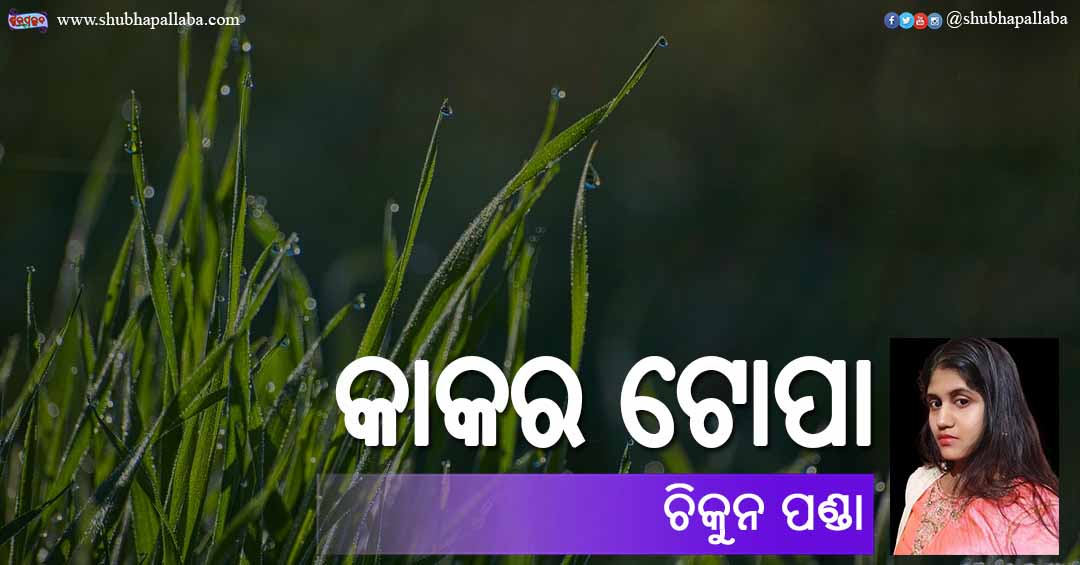 Odia Poem Kakara Topa (କାକର ଟୋପା) by Chikun Panda